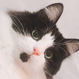 孤寡老人✨