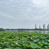 幸运多来点