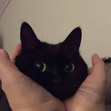 路九色