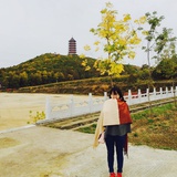Wuxuefei
