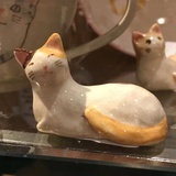 彩虹天边