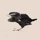 禾生