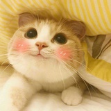 遇见七月