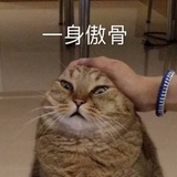 喜东东。