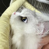 肉肉蛮好吃