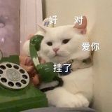 张阿壮