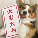 虾饺