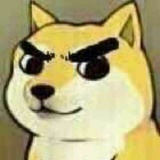 龙小喵