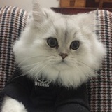 Bob