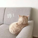 梦屺鲽