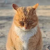 长风