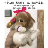 没哈赖