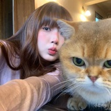momo