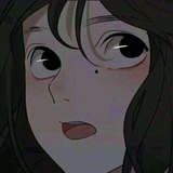 夕光猫_
