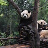 旅行的意义