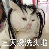圣朱尼佩洛1