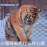 定西