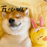 气运收藏家