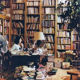 shaojun lyu