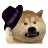 戳哥㍿