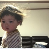 树洞尤里卡