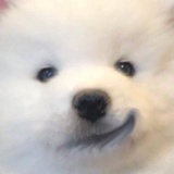 很困不想起床