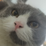 陈西西的妈