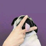 南风