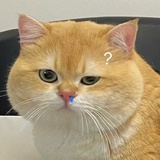 些些