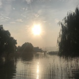 荔枝公园有荔枝