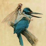木秀