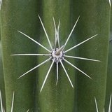 KOKOKUN