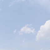 已注销