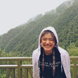 杨小杨
