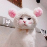 无恙viiii