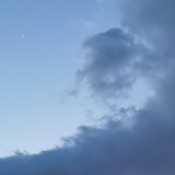 乐尽陶陶