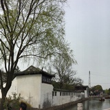 漆黑之觋
