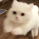 不嗑阴间cp