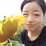 西早