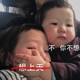 臻子