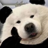 拉克丝