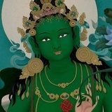 yufei_Ling