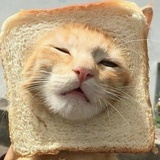 小七