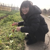 爱吃橙子的慢慢