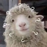 豆友136763527