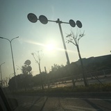 叶子