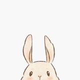 月亮
