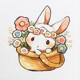 森林