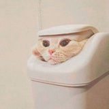 老王酱子