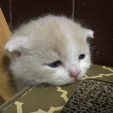路漫漫